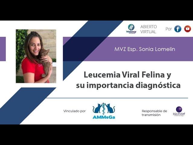 Leucemia Viral Felina y su Importancia Diagnóstica - MVZ Esp. Sonia Lomelin