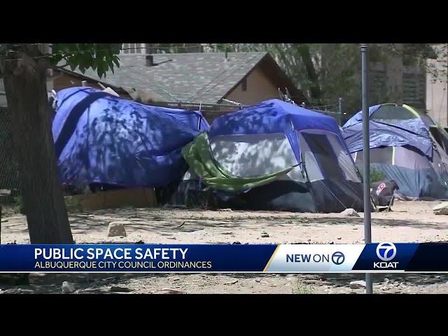 City council proposals to make public spaces safer