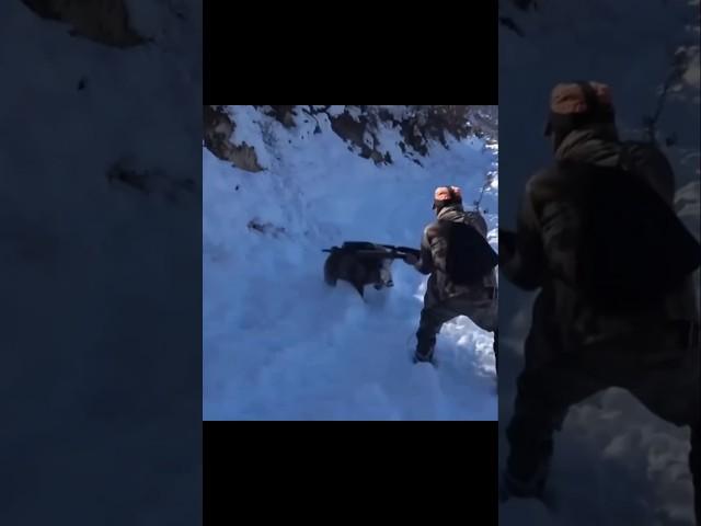 Кружка «Снежная свинья атакует» #охота #загоннаяохота #кабан #весенняяохота #wildlife