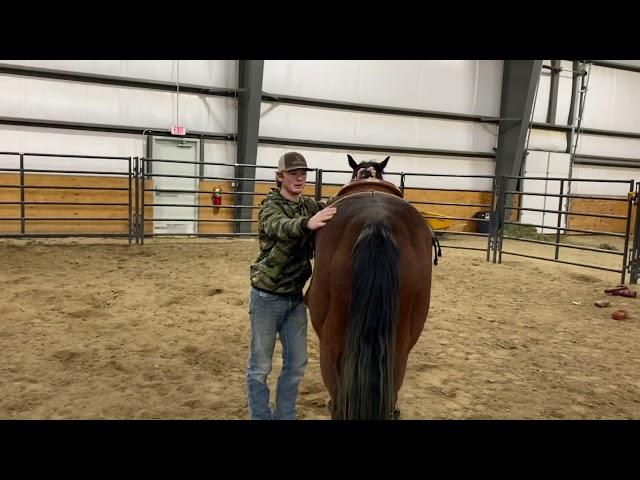 How to Ride a Bucking Colt