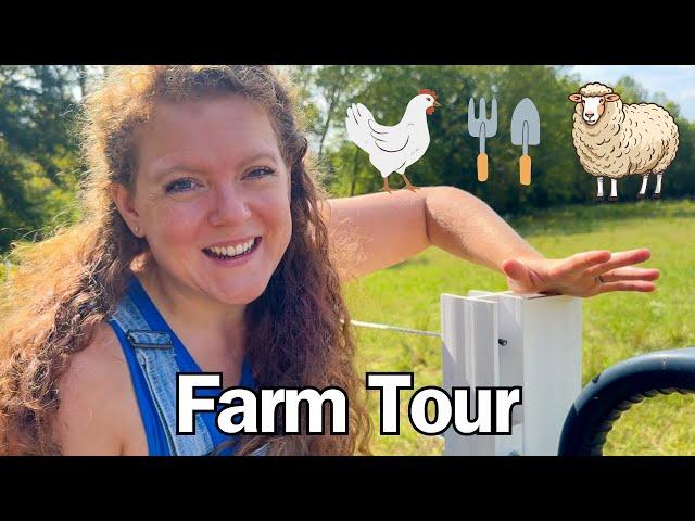 Homestead Tour 2024 | Chickens, Sheep, Garden, and More! 