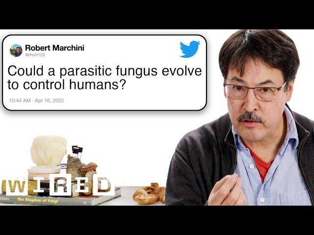 Mycologist Answers Mushroom Questions From Twitter  | Tech Support | WIRED