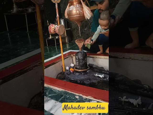 Mahadev ️ #song #kedarnath #mahadiv #shortvideos #trending #jaimahakal #viralvideos
