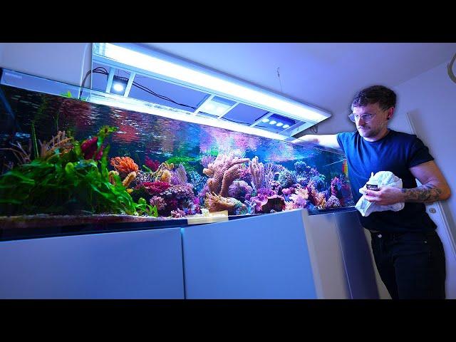 One of Germany's best REEF TANKS + new CORALS