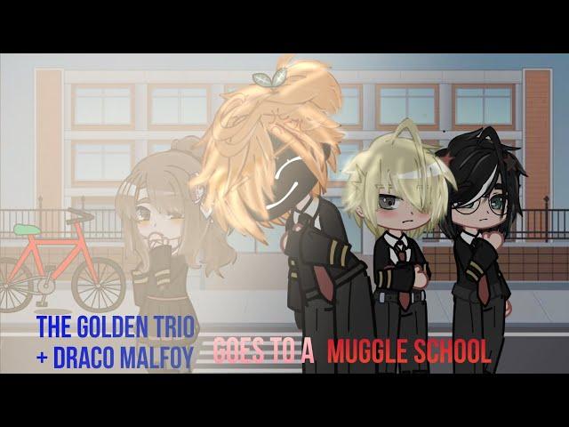 The Golden Trio + Draco Malfoy Goes To A Muggle School || My Au. || Drarry + Ronmione