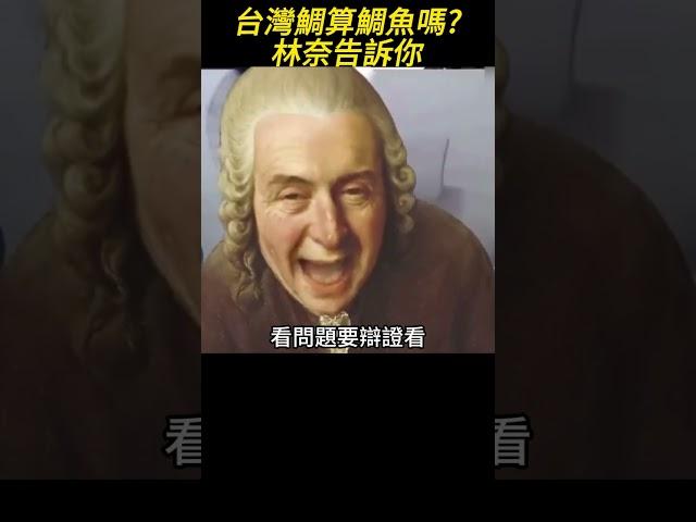 台灣鯛能算鯛魚嗎? 回答我! #美食 #羅非魚 #蒲燒鯛魚 #鯛魚壽司 #回答我 #look at my eyes