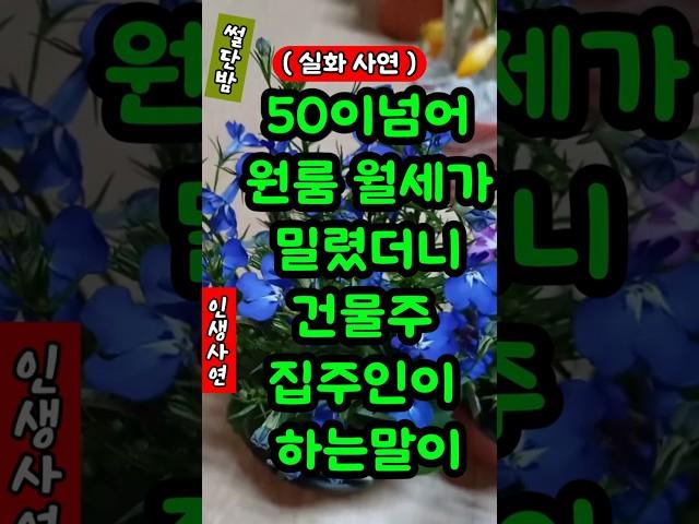 50이 넘어 원룸월세가 밀렸더니 건물주 집주인이 하는말이#사연#노후사연#인생사연#좋은글#원룸#화물차