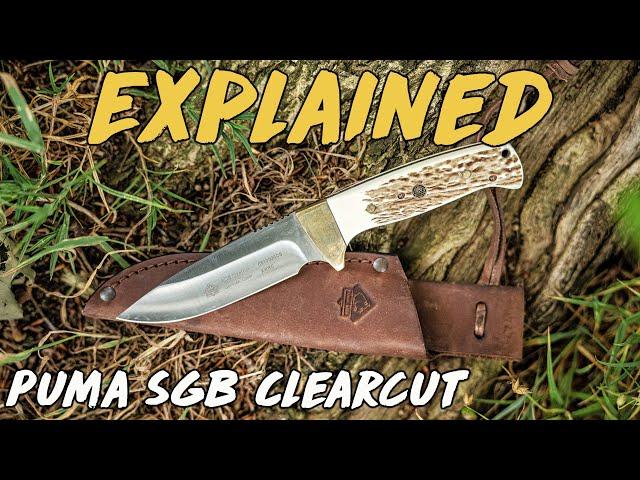 Explained - PUMA Clearcut