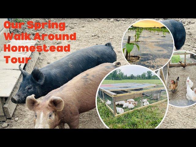 Our spring walk around homestead tour