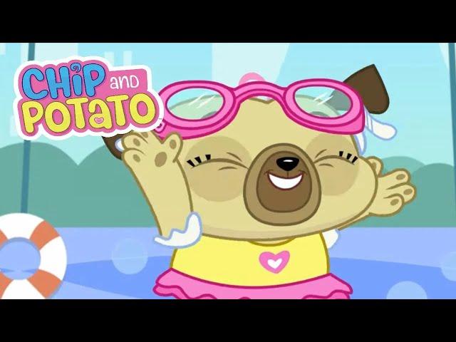 Chip and Potato | Natação de verão!| Desenhos animados para crianças | Assista mais na Netflix