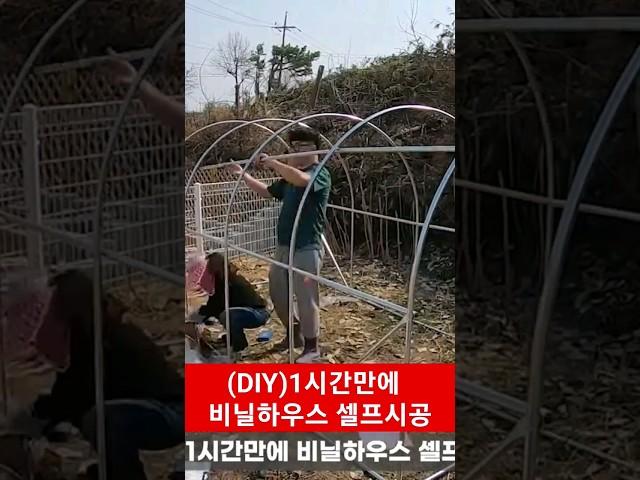 (DIY)1시간만에 비닐하우스 셀프시공