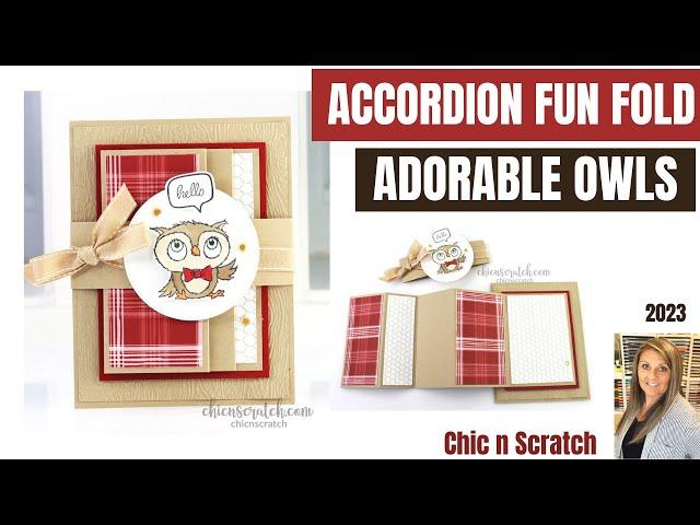 Accordion Fun Fold Card Adorable Owls