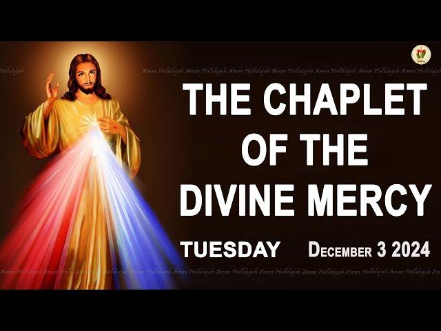 Chaplet of the Divine Mercy I Tuesday December 3 2024 I Divine Mercy Prayer I 12.00 PM