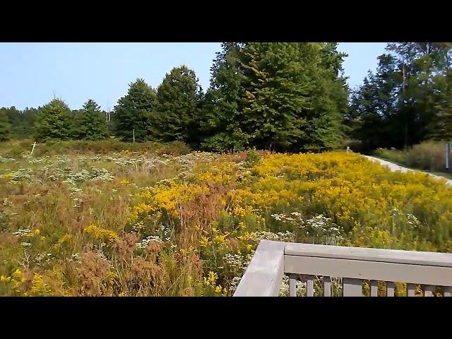 Sandy Ridge Reservation North Ridgeville Ohio 9/15/2022