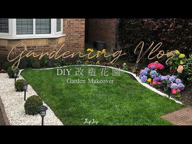 【英國花園Vlog】 我們家的小花園｜DIY £100改造前花園 ｜新手友好小技巧｜繡球花爆生｜Gardening Vlog | #移民英國 #英國vlog #英國生活