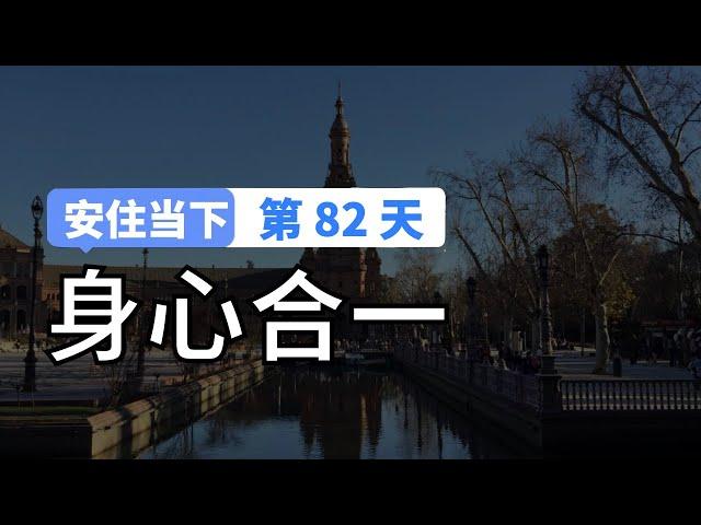 【安住当下DAY82】10分钟冥想引导｜身心合一的呼吸