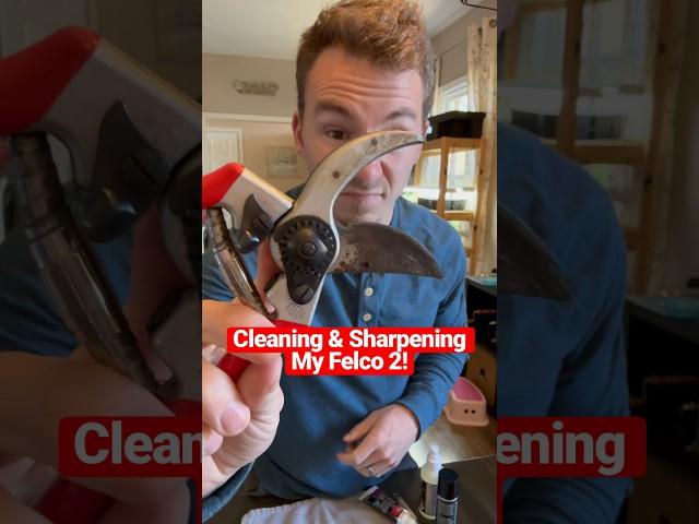 How To Clean & Sharpen Felco 2 Pruning Shears ️