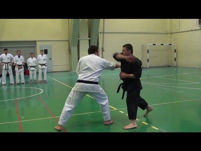 Shorin Ryu Karate Do - Okinawan Kobudo - Self Defense