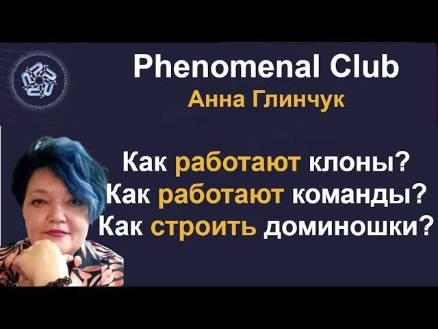 Phenomenal Club: Как правильно работают клоны Как работают команды Как быстро строить доминошки 