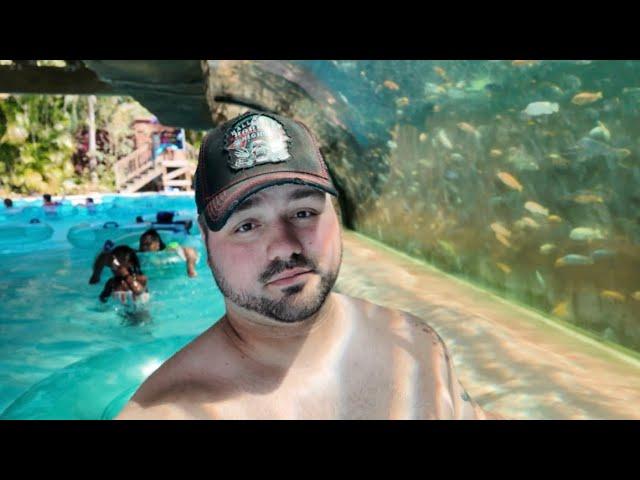 Aquatica Orlando  Spring Break at SeaWorlds Water Park 2025 | Water Slides, Pools, Beaches & More