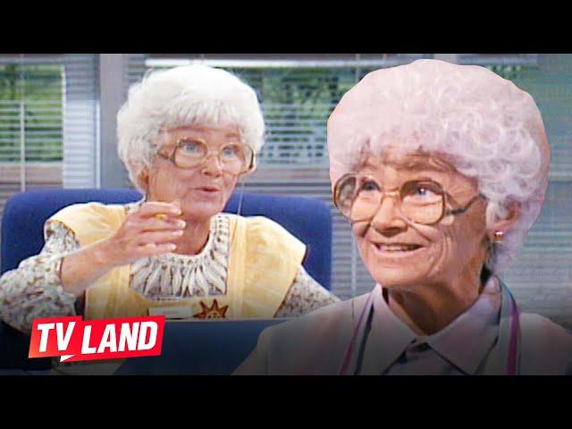 Best of Sophia’s Jobs  Golden Girls