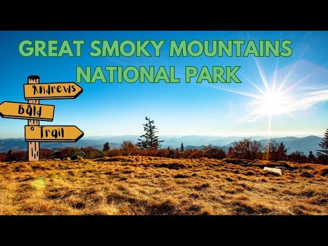Andrews Bald at Great Smoky Mountains National Park | Trail Overview