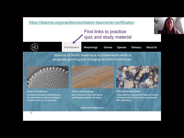 Preparation for taxonomic certification 2019 11 20