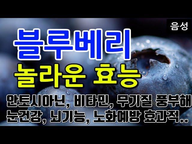 [블루베리 효능] 뇌 건강부터 눈 건강까지! 슈퍼푸드의 힘  | 블루베리의 놀라운 효능