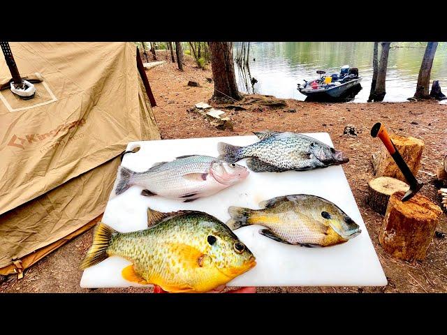 Catch Cook Camp 4 Species Taste Test! Which Tastes Better??