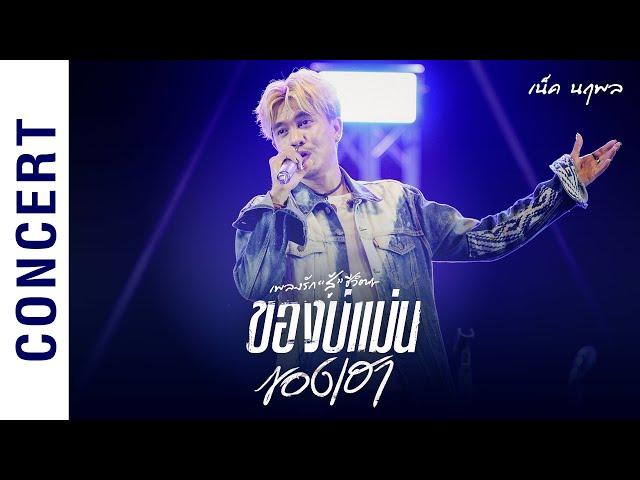 ของบ่แม่นของเฮา - เน็ค นฤพล Concert | Live อัลบั้มเพลงรัก 'สู้' ชีวิต