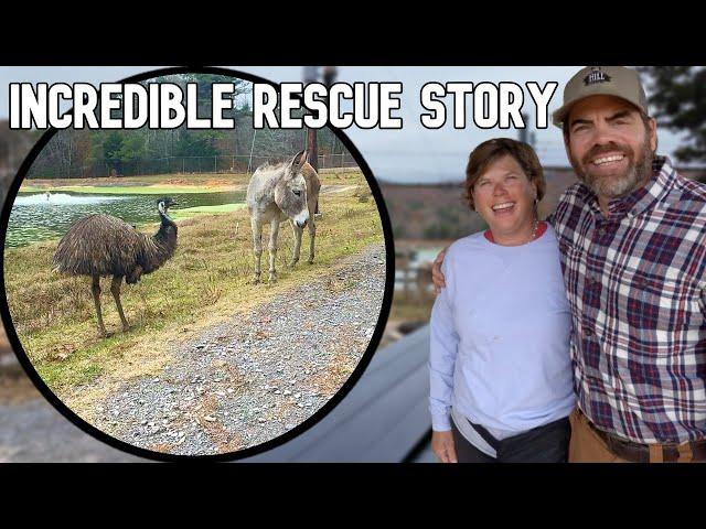 You Won’t Believe Who Came to Save the Emu & Donkey, & How 1 Man Didn't Give Up!