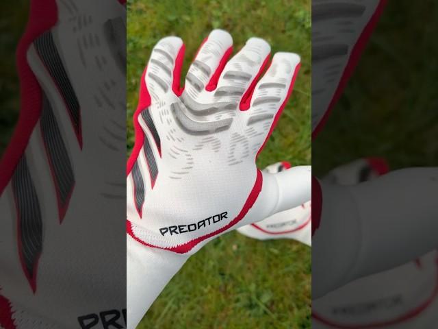 NEW CHAMPAGNE ADIDAS PREDATOR#goalkeeper