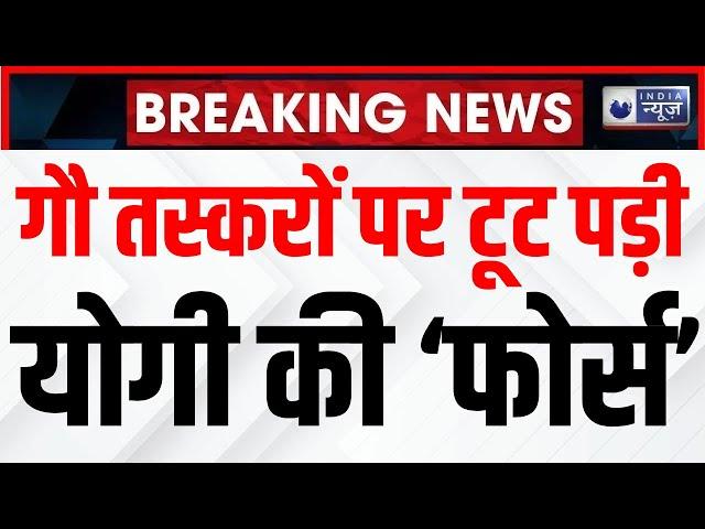 Meerut Gau Taskar Encounter: मेरठ पुलिस ने 6 गौ तस्करों का किया एनकाउंटर। Breaking News