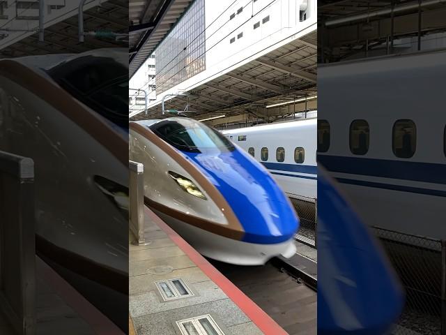 【敦賀1番列車】JR西日本W7系かがやき502号東京行き　東京駅到着【定着】