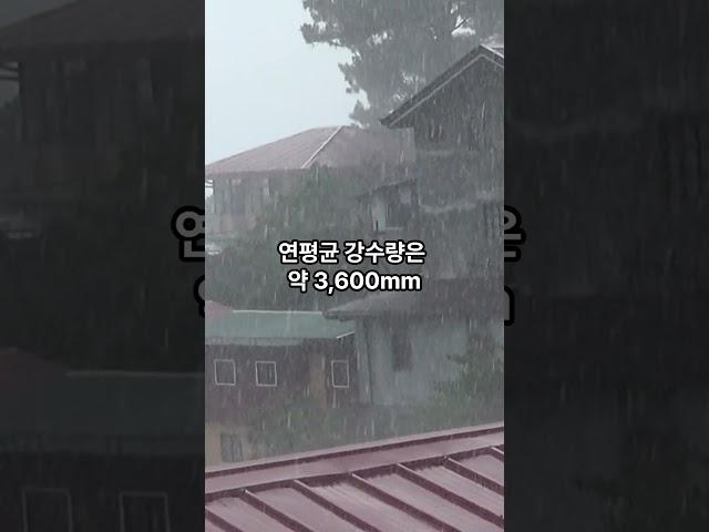 세계에서 가장 비가 많이 오는 나라 TOP7 #지식#이슈#여행#정보