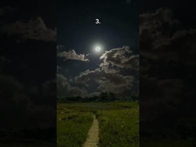 Which path would you choose #aesthetic #aurora #vibes #relax  #travel #relaxing #asmr