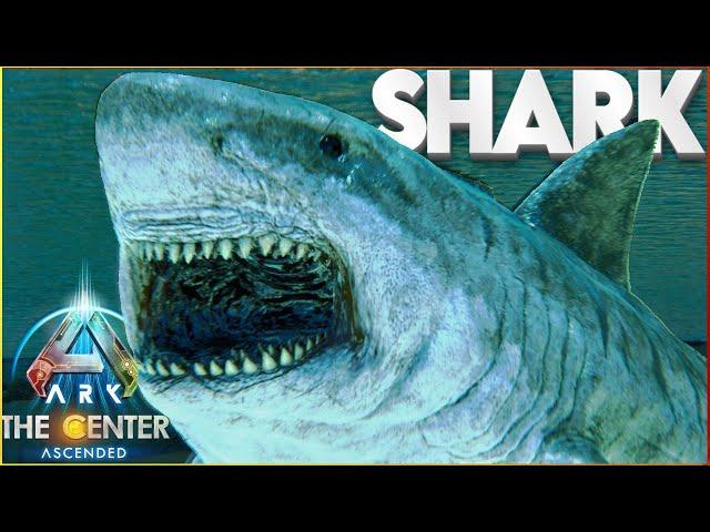 I Had A Shark for Less Than A 100 Minutes  -The Boys! - ARK The Center Episode 7