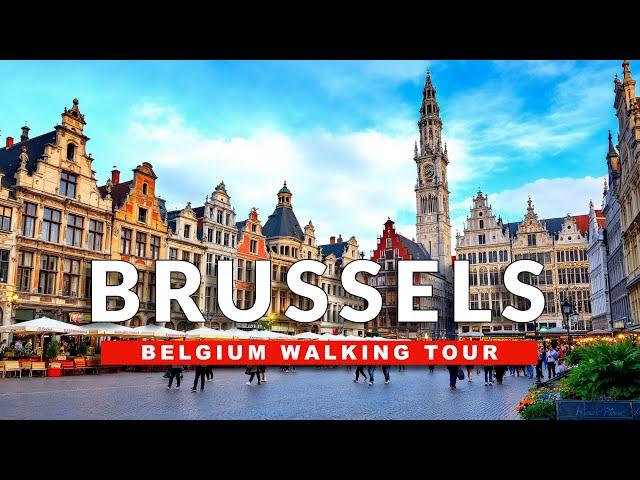 [LIVE] Experience the REAL Brussels Belgium Winter Walk Like a LOCAL!