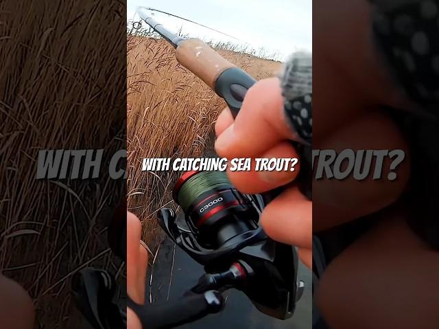 3 Quick #Seatrout Tips! 