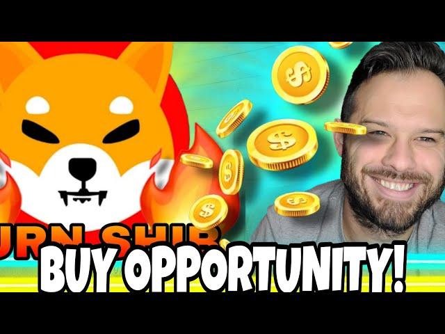 Shiba Inu Coin | SHIB And Top Meme Coins Offer Huge Buy Opportunity!