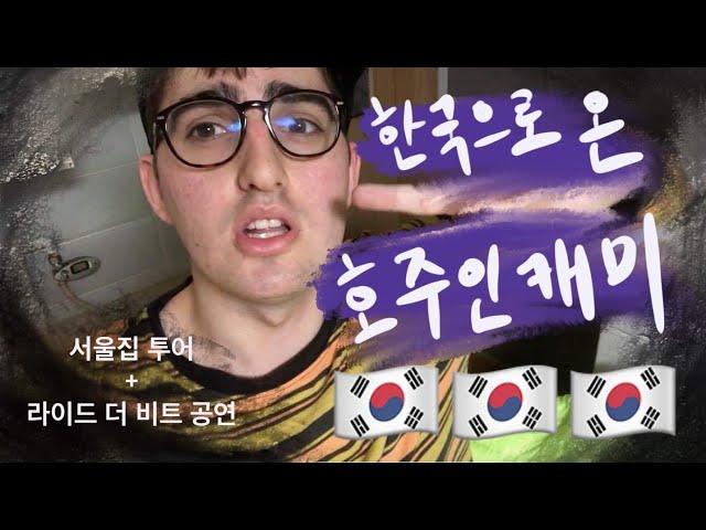 한국으로 온 호주인 캐미!! 서울집 투어 + 라이드 더 비트 공연