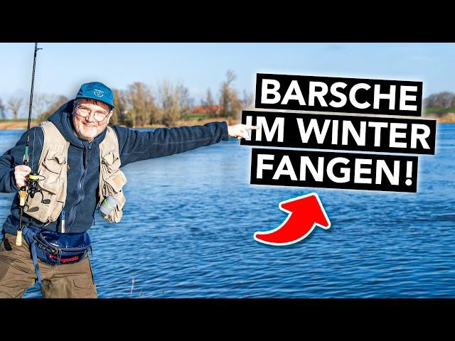 Barschangeln im Winter  So fängst du große Barsche! (dicke Überraschung)