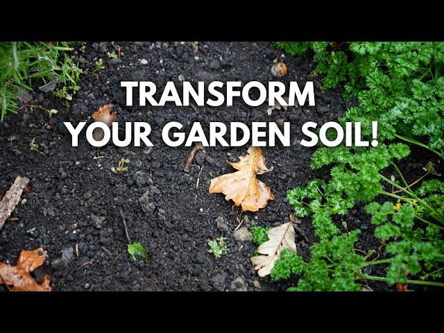 AMEND Your Fall Garden Like THIS For Maximum Soil Success!