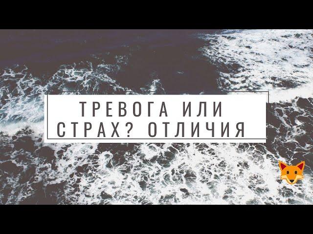 Тревога или страх? В чём отличие - рассказывает невролог Лисенкова #Shorts