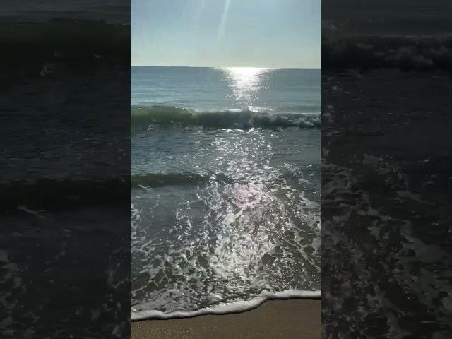 Morning on the Beach