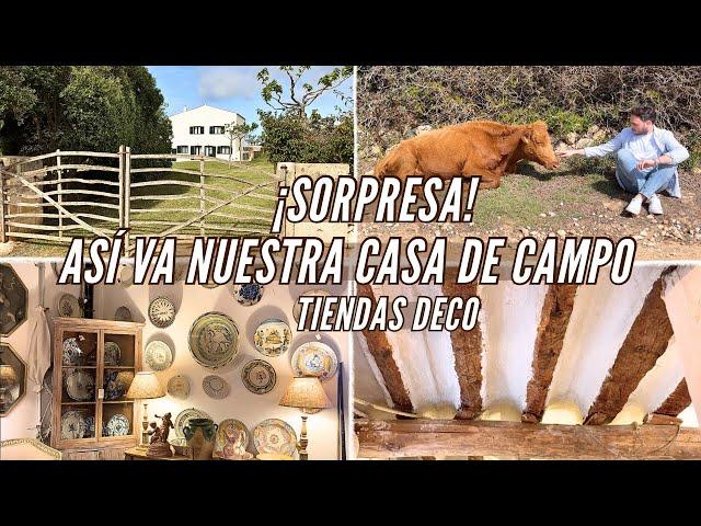 REFORMAMOS la COCINA   MUCHA DECORACIÓN  Caballos, gallinas, vacas ‍ ¡SORPRESA!  Ideas DECO 