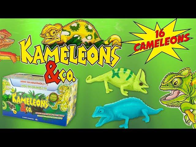 KAMELEONS & CO Boite Complète de 16 Caméléons Pochettes Surprise Altaya Jouet Toy Review Juguetes