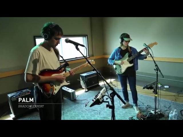 Palm - AudioTree Live Session (without interviews)