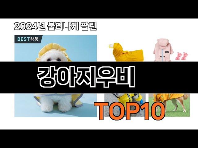 2024 가장 인기 있는 강아지우비 추천 BEST10