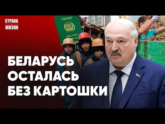 ЛУКАШЕНКО В ПАНИКЕ! Мигранты захватывают Беларусь. Перестрелка в Орше. Удары по территории России